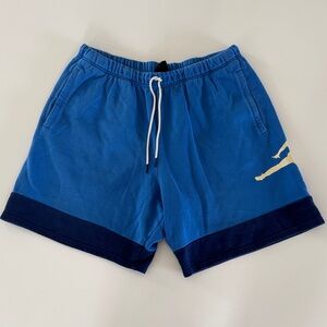 Vintage Nike Jordan Fleece Shorts Mens XXL Athletic Workout Drawstring Y2K Blue